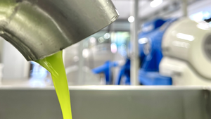 Pruneti น้ำมันมะกอกบริสุทธิ์จากอิตาลี100% ขนาด250มล. โพลีฟีนอลสูงสำหรับใช้ตามฤดูกาล - Product Image 4