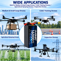 Batterie semi-solide 1174172 16000mAh 3.7V 25C 30C Haute Capacité pour Drones Industriels, Agricoles et Professionnels (UAV)