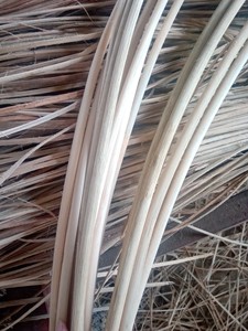 Proveedor principal de materiales de ratán blanqueados/Núcleo de ratán natural no químico/Núcleo de ratán redondo natural hecho en Vietnam - Product Image 3