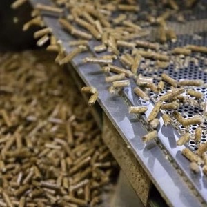 Granulés de bois à vendre combustible de chauffage propre, fiable et efficace Granulés de bois de qualité supérieure en stock - Product Image 4