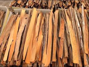 Cassia dividida de Vietnam Cassia dividida limpia y seca a granel para mezclas de especias e importadores - Product Image 2
