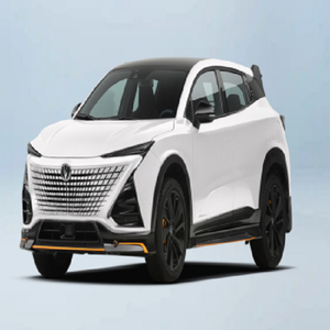 LISTO PARA ENVIAR: Auto Usado CHAN GAN U NI de Gasolina - Product Image 4