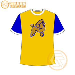 Vente en gros de t-shirt Sigma Gamma Rho pour femmes vêtements de sororité jersey de coton t-shirt respirant de haute qualité vêtements grecs pour femmes - Product Image 3