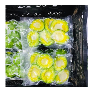 อะโวคาโดแช่แข็งพรีเมี่ยมจากเวียดนามคุณภาพสูงสำหรับการทำอาหารสมูทตี้และการแปรรูปอาหารจำนวนมาก - Product Image 2