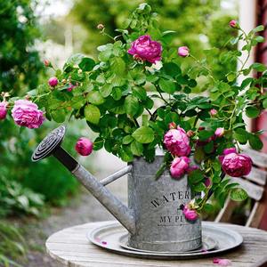 Arrosoir en fer à long bec avec surface martelée et finition en bronze antique conçu pour un arrosage précis des plantes - Product Image 2