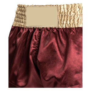 <b>Mens</b> Custom 2025 Mma <b>Shorts</b> For <b>Men</b> - Product Image 4