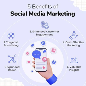 Mejor precio Digiomate Web Services LLP Modelo 2017 Servicios de marketing digital impulsados por el éxito Versión empresarial Stock - Product Image 6