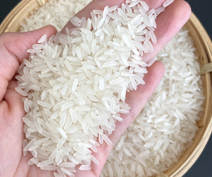 [CIERCEO DE OTOÑO] ARROZ JASMINE VIETNAMITA DE GRANO LARGO BLANCO DE LA MEJOR CALIDAD, SELECCIÓN DEL CHEF, Seco, 5 kg, 10 kg, 25 kg, NUEVA COSECHA, EXPORTACIÓN A GRANEL, HALAL - Product Image 2