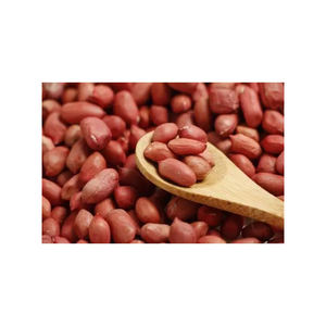 Rico en proteína orgánica Kernel Raw Peanuts Kernel Peanut - Product Image 6