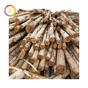 Pila de Madera de Eucalipto Apilada y Fuertemente Empaquetada, Suministro Estable para Comercio Minorista, Mayorista y Exportación - Product Image 6