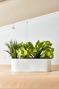 แจกันดอกไม้บนโต๊ะ,แจกันโลหะตกแต่งบ้านรูปทรงเรือสำหรับตกแต่งห้องครัวกระถางดอกไม้ตกแต่งห้องนั่งเล่น - Product Image 3