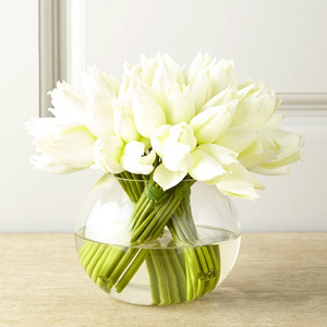 VBW0008A - Florero de Vidrio Transparente para Uso Diario - 8 Pulgadas - Product Image 3
