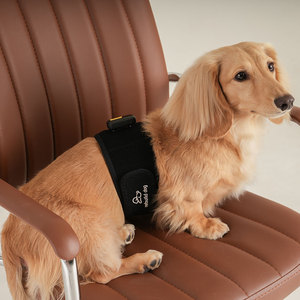 [Rebuild-dog] Suministros para mascotas Dispositivo de estimulación eléctrica y banda de cintura para perros Productos para el cuidado de la rótula del perro - Product Image 2