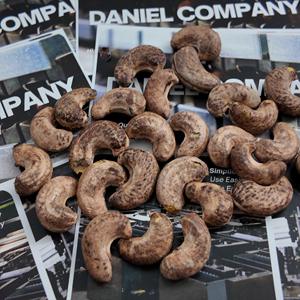 Nueces de Anacardo al por Mayor W320 Orgánicas Tostadas con Sal 100% Naturales de África con Fabricación OEM/ODM Disponible - Product Image 4