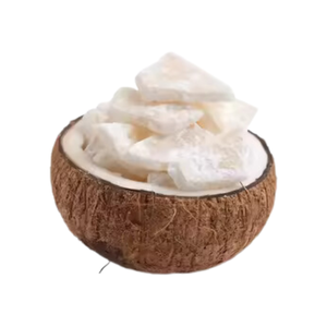 Elija carne de coco congelada de primera calidad, una opción saludable y deliciosa para sus necesidades de alimentos congelados - Product Image 1