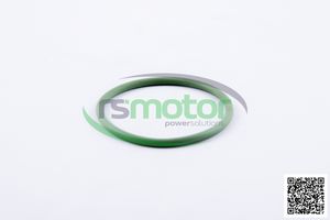 Joint torique OEM pour RS-01167395 MWM pour moteur à gaz naturel Pièces de machines neuves - Product Image 3