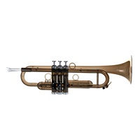 Trompette en Lexan, instrument de musique, couleur cristal clair, trompette d'entraînement pour étudiants, professionnelle, avec étui de transport, vente chaude