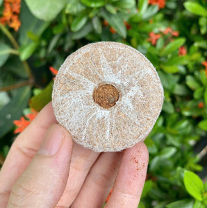 Premium Coconut <b>Coir</b> Pellets <b>Block</b> | Biodegradable Growing Medium | High Water Retention | Low EC - Product Image 1