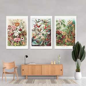 Ensemble de 3 affiches sur les formes artistiques de la nature d'Ernst Haeckel pour la décoration murale - Product Image 2