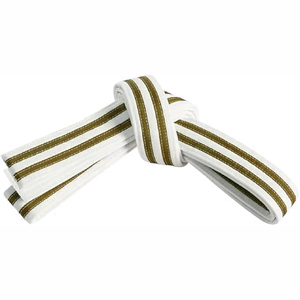 <b>Professional</b> <b>Light</b> Cyan Brazilian Jiu Jitsu Premium Woven Cotton Martial Arts Belt custom size and design - Product Image 6