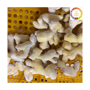 IQF Organic <b>Frozen</b> Fresh Ginger Peeled Whole Supplied from Vietnam Factory Premium Spice Ingredient For Export Users - Product Image 1