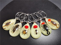 Porte-clés en résine luminescente en forme de goutte d'eau avec insectes, fourmis, scorpions, porte-clés pour garçons, tendance 2023