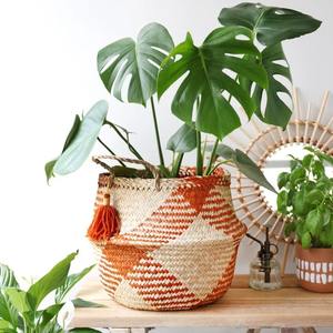 Cesta de almacenamiento de algas marinas naturales tejidas a mano con asas Cesta de paja vintage Cesta de vientre para regalo de plantas Decoración del hogar - Product Image 6