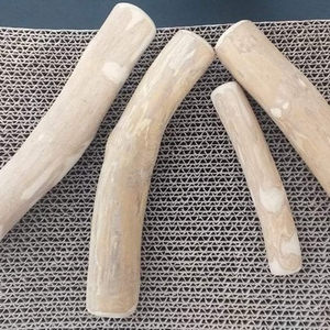 כלב בר קיימא ליטוש כלבים טבעי בריא אמיתי קפה עץ עמיד ארוך עמיד לעיסה עבור גורים כלבים m. jennie - Product Image 3