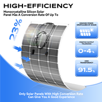 Fabricant de panneaux solaires flexibles à couche mince 100W 120W 200W Panneau solaire en silicium monocristallin Pv Modul pour le camping