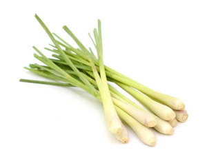 Citronnelle Fresh/IQF des produits agricoles du Vietnam, la plupart des prix concurrentiels sur le marché - Product Image 1