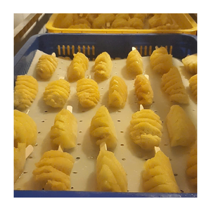 TRANCHE OU CHUNK D'ANAS CONGELÉ DU VIETNAM QUALITÉ D'EXPORTATION IQF PARFAITE POUR LE SERVICE ALIMENTAIRE ET LA VENTE AU DÉTAIL - Product Image 2