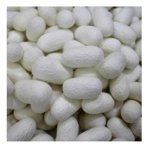 Authentique cocon de ver à soie naturel jaune blanc cocon de ver à soie brut de qualité supérieure idéal pour les produits à base de plantes et textiles en fil de soie - Product Image 2
