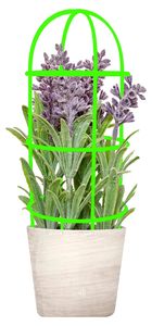 Enrejado de Hierro con Recubrimiento en Polvo Verde y Negro para Plantas en Maceta, Duradero, para Jardín Pequeño - Product Image 2