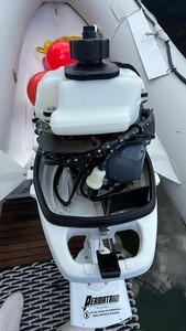 Motor fueraborda de 15 pulgadas, blanco, nuevo, 6HP, 2, 1 par - Product Image 4