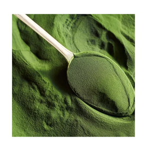 ผงสาหร่ายสีเขียว ulva Lactuca - Product Image 1