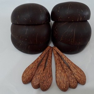 Tazón de cáscara de coco de alta calidad, logotipo personalizable de madera natural ecológico, precio de Vietnam (Henry + 84 799 996 940) - Product Image 2