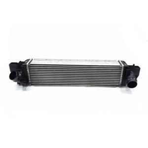 INTERCOOLER BMW X1 Série (F48) 17117617598 B47 C20 A, B47 C20 B Diesel 2000 (15>) - Product Image 1