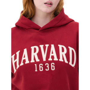 เสื้อสเวตเตอร์มีฮู้ดบุขนแกะ2ชิ้นกางเกงขาบานกางเกงเอวยางยืดมีกระเป๋าด้านข้างสำหรับผู้หญิงผ้าคอตตอน100% เป็นมิตรกับสิ่งแวดล้อมฤดูหนาว - Product Image 3