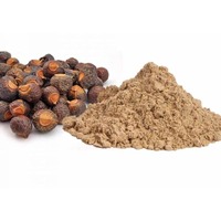 Vente en gros de poudre d'extrait de noix de savon soapberry en poudre naturelle pour la lessive prix d'exportation le moins cher