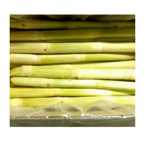 ผู้ขายชั้นนำในเวียดนามจัดหาอ้อยแช่แข็งที่มีคุณภาพพร้อมส่งออกทั่วโลกในราคาที่แข่งขันได้ - Product Image 1