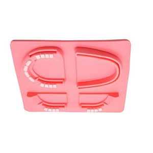 Kit de formation dentaire avec coussin de suture personnalisé et instruments chirurgicaux, instruments chirurgicaux médicaux, kit de suture dentaire - Product Image 3