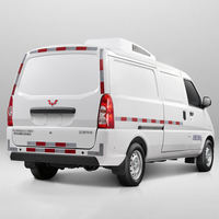 WuLing Cargo VAN électrique véhicule réfrigérateur stockage à froid Van réfrigérateur camion véhicule électrique conduite à droite voitures électriques