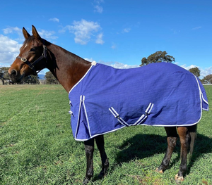Tapis de participation équin de cheval personnalisable de haute qualité imperméable respirant couverture de cheval Nylon Ripstop produit équestre - Product Image 6