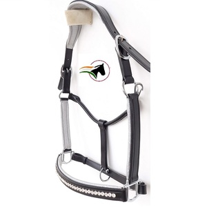 Cabestro de caballo para todas las estaciones de calidad superior con cristales plateados brillantes Cuero y herrajes de alta calidad - Product Image 1