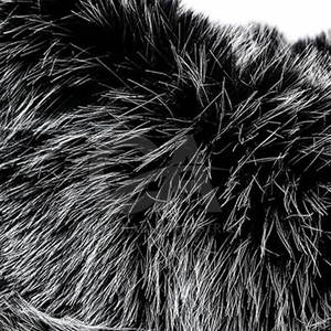 Veste en fausse fourrure courte pour femmes, streetwear décontracté, manteau d'hiver, veste en fausse fourrure courte tendance pour femmes - Product Image 5