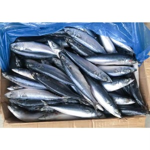 Pescado de caballa congelado, pescado de caballa congelado embalado limpio con cosecha en el océano y suministro a granel de fábrica verificada - Product Image 4