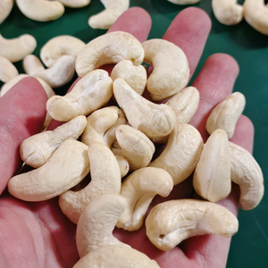 Usine Directe Noix De Cajou WW240 Kaju Badam Noix Noyaux SANTIGO Noix De Cajou Libre Taxe Origine Vietnam - Product Image 1