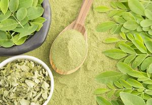 Extrait de feuilles de Moringa 100% naturel biologique en vrac, superaliment avec emballage en bouteille et en fût, avantages pour l'exportation pour la santé - Product Image 3