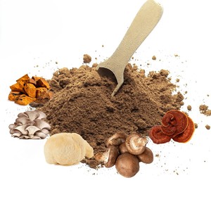 OEM/ODM 100% Pure Herbal Extract Turkey Tail <b>Mushroom</b> Powder Customized Packing Wild Cultivation Available - Product Image 4