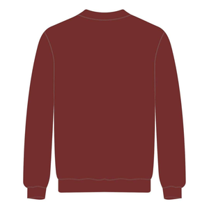 Sudadera Educativa Negra de la Hermandad Sigma Gamma Rho con Mangas Raglán, Bordado Chenille, Diseño Griego, Personalizada, Vintage de Invierno - Product Image 3